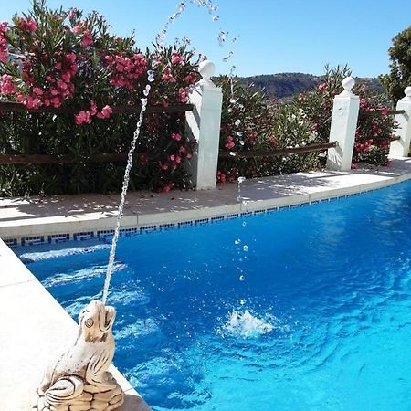 Apartamento Bella Vista Coín Dış mekan fotoğraf